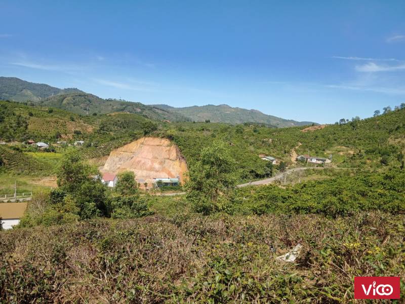 Cần ra gấp lô đất view đồi, suối tại Thôn 6, Đại Lào, Bảo Lộc