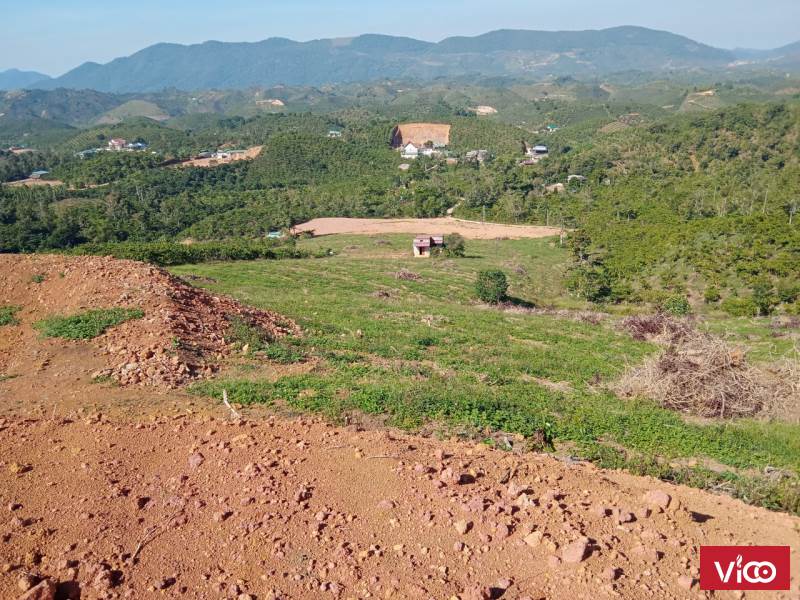 bán đất nghỉ dưỡng tuyệt đẹp tại thôn 11 đại lào tp bảo lộc