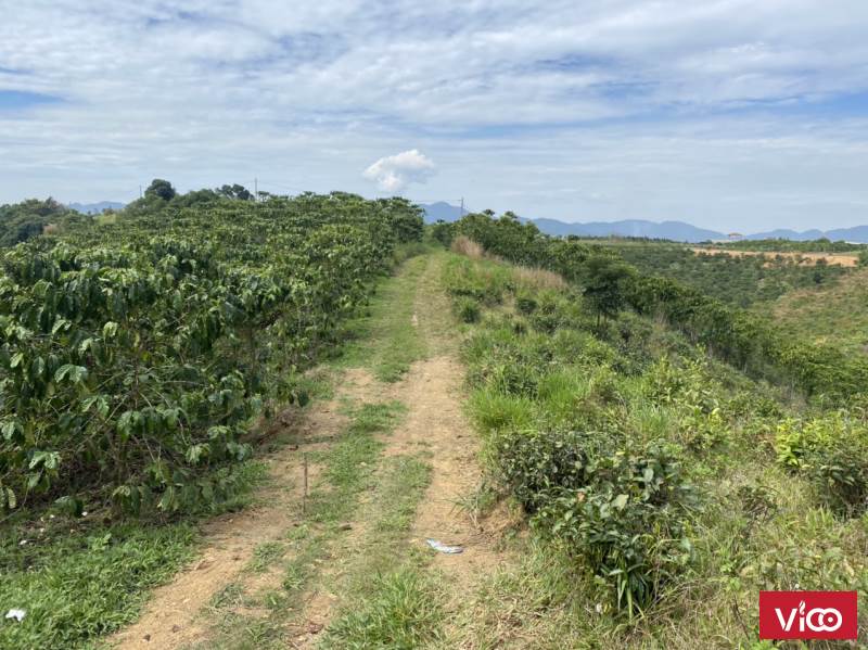 bán mảnh đất diện tích lớn pháp lý đầy đủ tp bảo lộc