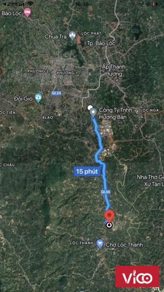 Sỉ 17 nền tại thôn 11 Lộc Thành, Bảo Lộc