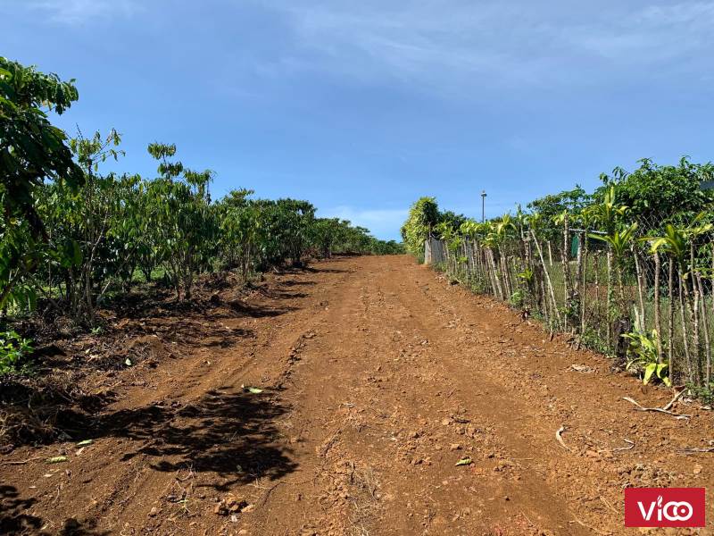 Hẻm Lê Phụng Hiểu, TP Bảo Lộc 3000m2 54m Mặt Tiền Đường Oto