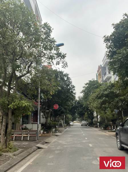 CHÍNH CHỦ BÁN LÔ ĐẤT NỀN KHU ĐẤU GIÁ 113 NHƯ QUỲNH, DT 75M2, MT 5M, GIÁ 52 TRIỆU/M2. LH 0981221622