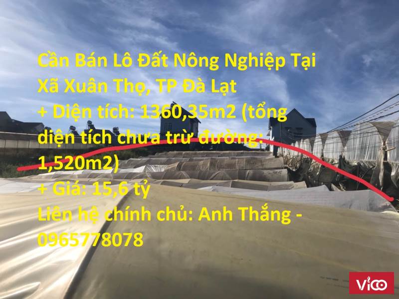 Cần Bán Lô Đất Nông Nghiệp Tại Xã Xuân Thọ, TP Đà Lạt