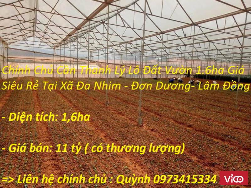 Chính Chủ Cần Thanh Lý Lô Đất Vườn 1.6ha Giá Siêu Rẻ Tại Xã Đạ Nhim