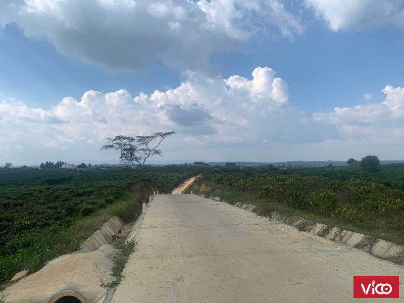 Bán Đất 8000m2 112m Mặt Tiền Đường Văn Cao Lộc Phát Bảo Lộc Lâm Đồng