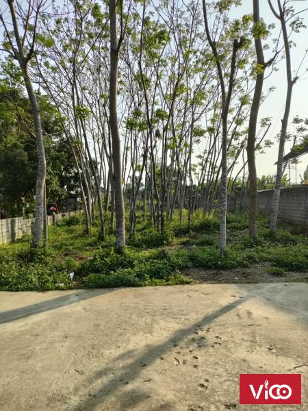 Chính chủ cần ra đi nhanh lô đất tại Xóm Thín Xã Lương Nha Huyện Thanh Sơn Tỉnh Phú Thọ.