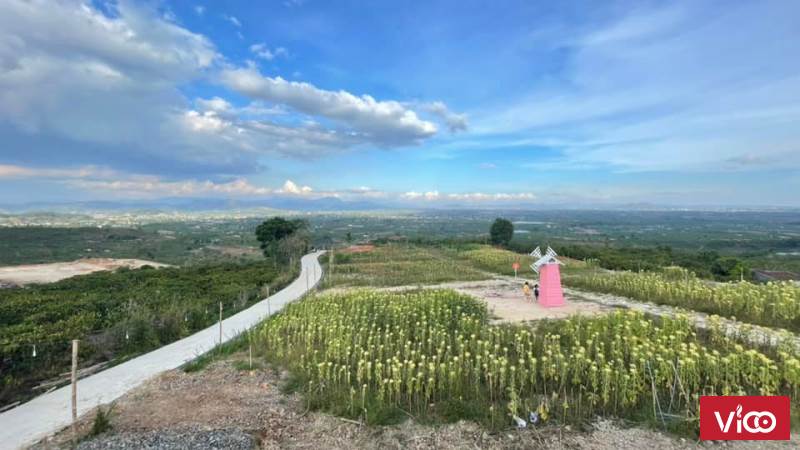 Sản phẩm nghỉ dưỡng hay đầu tư ven Đà Lạt hơn 500m2 giá 1tỷ250