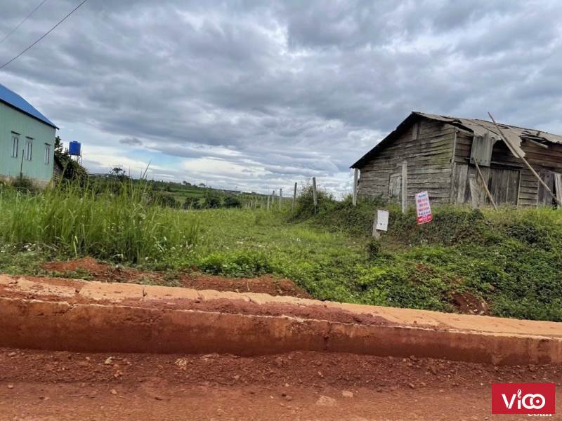 Bán đất Mặt Tiền Phùng Hưng Khu Dân Cư Diện tích7x33( 171 thổ cư) Đã trừ lộ giới