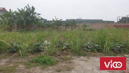 Bán đất tại Ngã Ba An Tràng, thị trấn Trường Sơn, An Lão, Hải Phòng.