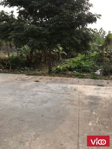 CHÍNH CHỦ BÁN MẢNH ĐẤT XUÂN ĐÀI, TRƯỜNG THỌ, AN LÃO, HẢI PHÒNG