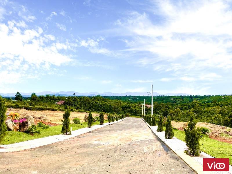 ĐẤT CHÍNH CHỦ 525M2 CÓ SẲN HỒNG VÀ VƯỜN RAU TẠI ĐẤT