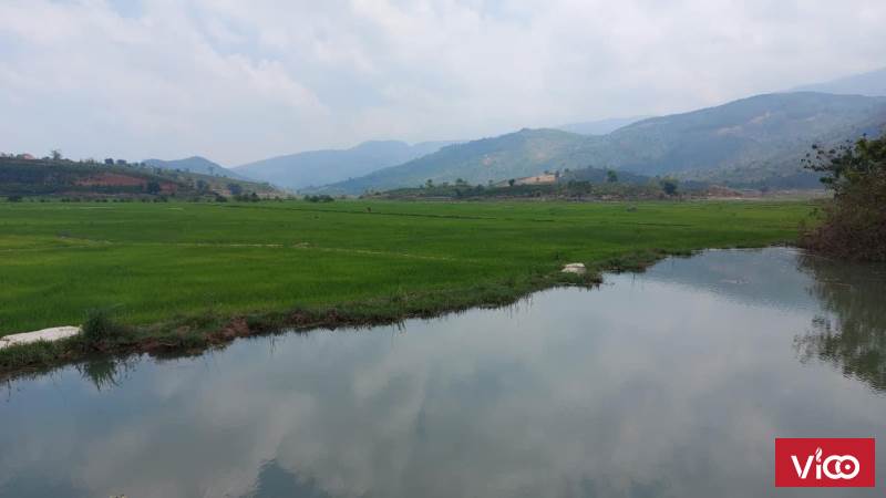 Nắm sổ cần nhượng lại lô đất mặt tiền đường nhựa đoạn Đinh Lạc Bảo Thuận,