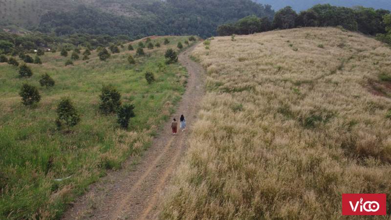 BÁN ĐẤT NGHỈ DƯỠNG CAO CẤP ĐỈNH ĐÈO VIEW HỒ/RỪNG SINH THÁI