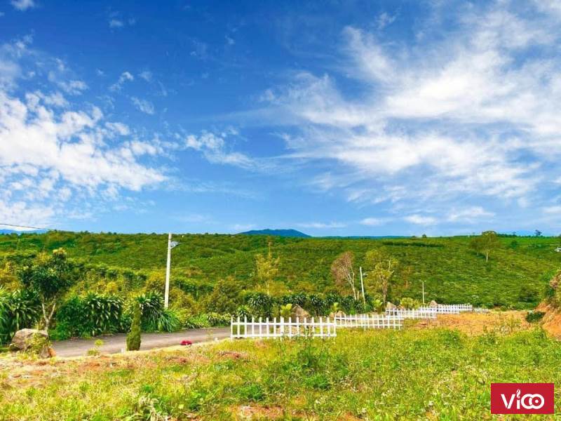 Còn 2 lô vị trí đẹp ngay trung tâm LỘC AN LÂM ĐỒNG , kế trường học NGAY NÚT RẼ CAO TỐC DÀU GIÂY