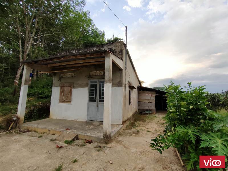 Hot Hot!!! Chính Chủ Cần Bán Gấp Lô Đất Đẹp Tại Xã Quốc Oai huyện Đạ Tẻh Lâm Đồng