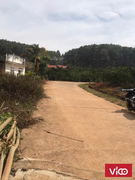 Chính chủ Bán nhanh lô đất sẵn thổ cư Diện tích 200m mặt tiền bê tông 6x38(120m thổ cư) Cách