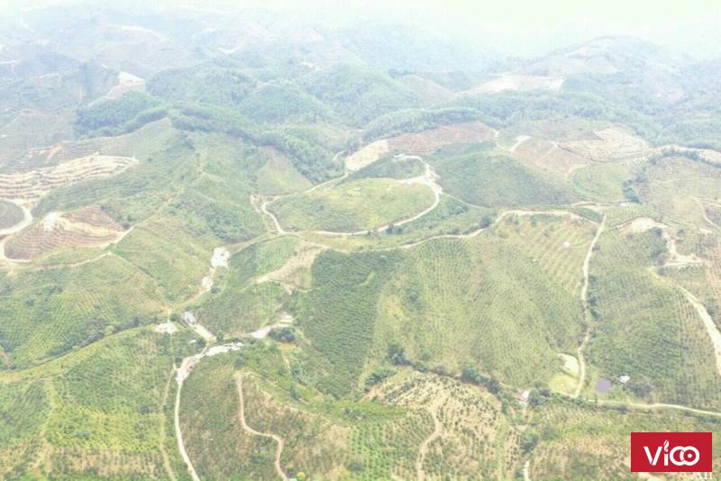 Em đang có miếng đất phù hợp với anh/chị đầu tư giá cực kì tốt