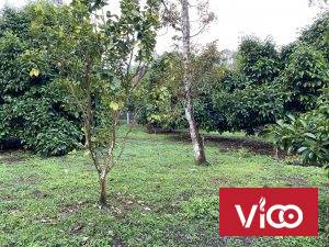 Chính Chủ Cần Bán Nhà Đất Vị Trí Đẹp Tại Lâm Đồng