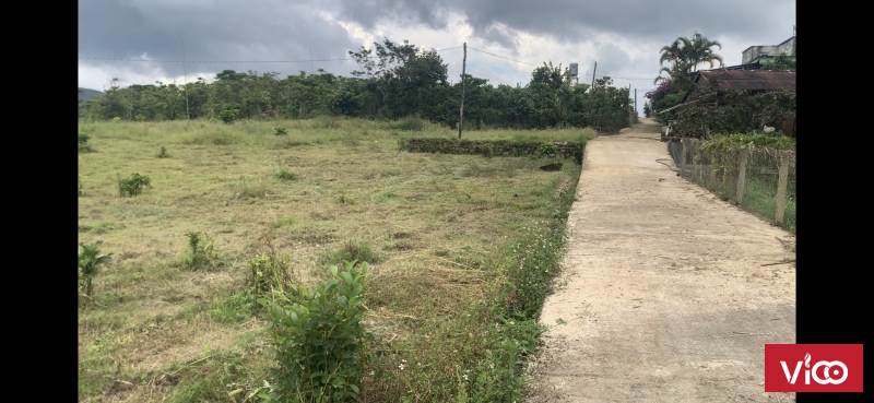 Bán đất đẹp thôn Ánh Mai 3 xã Đại Lào, Bảo Lộc