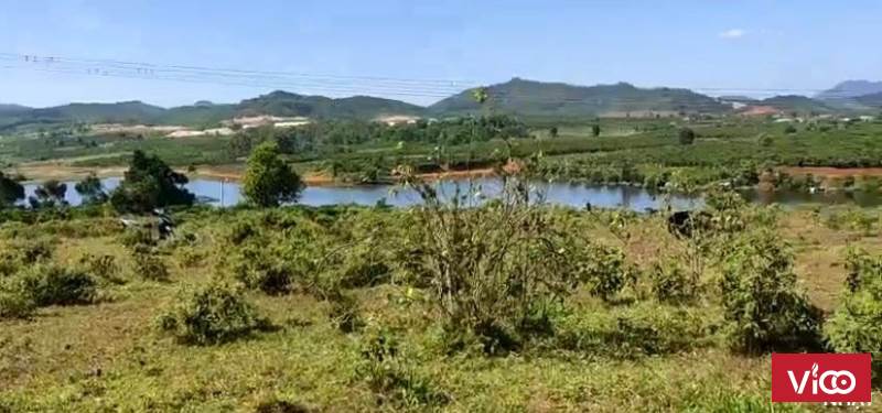 Ai thích hàng độc thì nhanh tay sở hữu ngay lô này