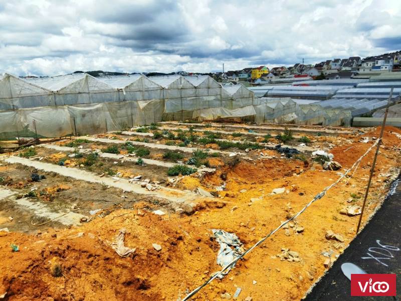 BÁN ĐẤT SỔ RIÊNG XÂY DỰNG TẠI PHƯỜNG 12, TP ĐÀ LẠT.