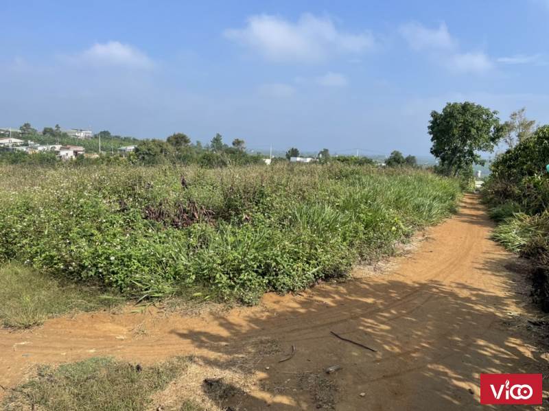 Đất nhà chính chủ 2518m2 tại vị trí vàng Lộc An trên quốc lộ 20 mặt tiền đường 55m2, có sẵn sổ