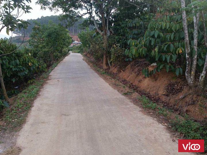 BÁN NHANH LÔ ĐẤT THÔN 1 MÊ LINH NAM BAN