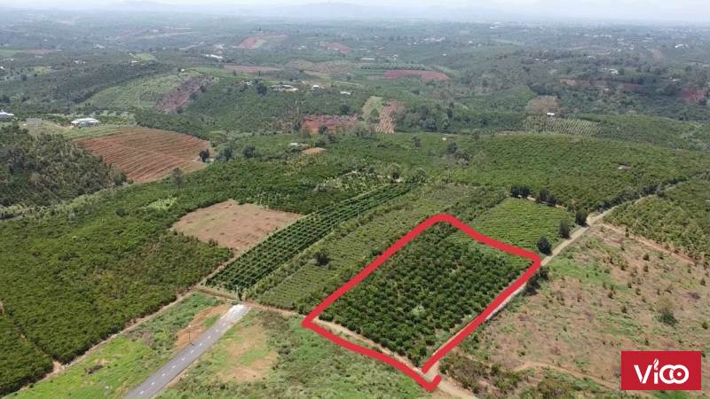 ĐẤT LÂM ĐỒNG BẢO LÂM LỘC AN, CHÍNH CHỦ