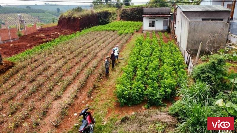 Bán gấp căn nhà MT số 555 Lý Thái Tổ Dành cho ai đó nhanh nhẩt Bảo Lộc