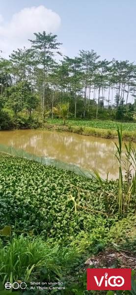 Siêu phẩm nghỉ dưỡng Đất đầu tư giá rẻ tại Cát Tiên, Lâm Đồng.