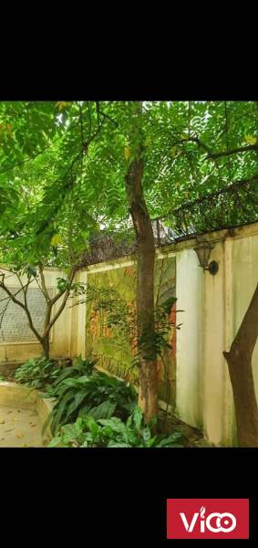 Cần bán căn biệt thự vip khu ĐT Văn Phú 215m2