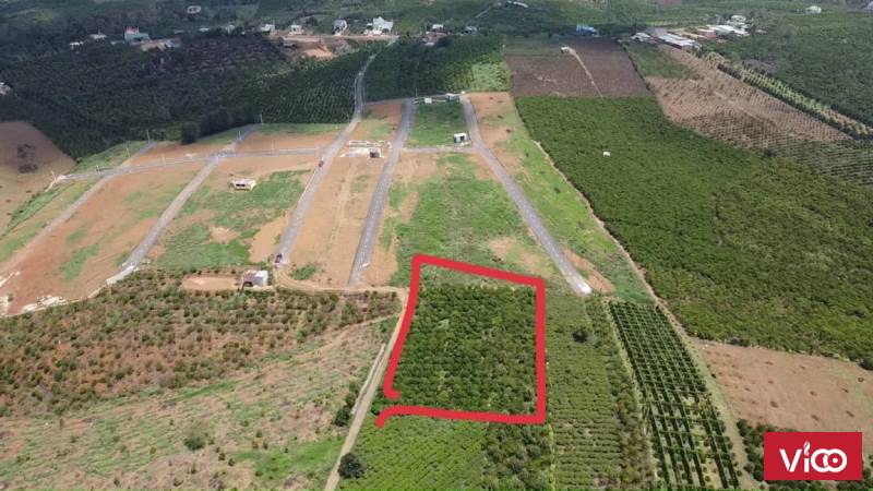 Bán 2 sào đất quy hoạch full đất ở!