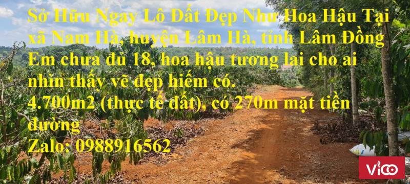 Sở Hữu Ngay Lô Đất Đẹp Như Hoa Hậu Tại xã Nam Hà, huyện Lâm Hà, tỉnh Lâm Đồng