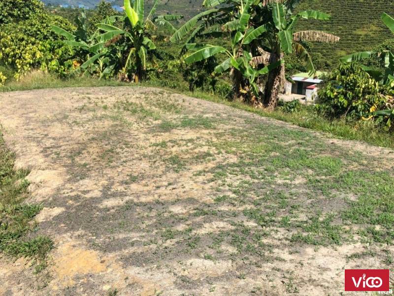 Đất xinh giá rẻ đầu tư không bao giờ lỗ giá này đảm bảo không còn