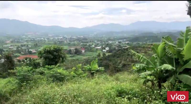 Rẻ nhất khu vực Không có lô thứ 2 nhé khách