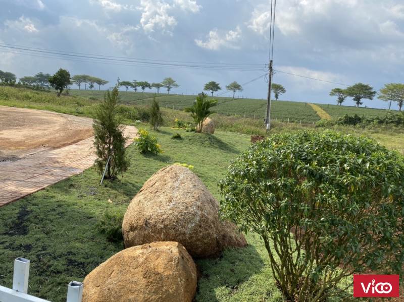 ĐẤT CHÍNH CHỦ BẢO LỘC, BẢO LÂM , TỈNH LÂM ĐỒNG 525M2 3.XTR/M2.