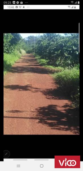 CẦN BÁN NHANH LÔ ĐẤT THÔN 9 LỘC NGÃI BẢO LÂM LÂM ĐỒNG