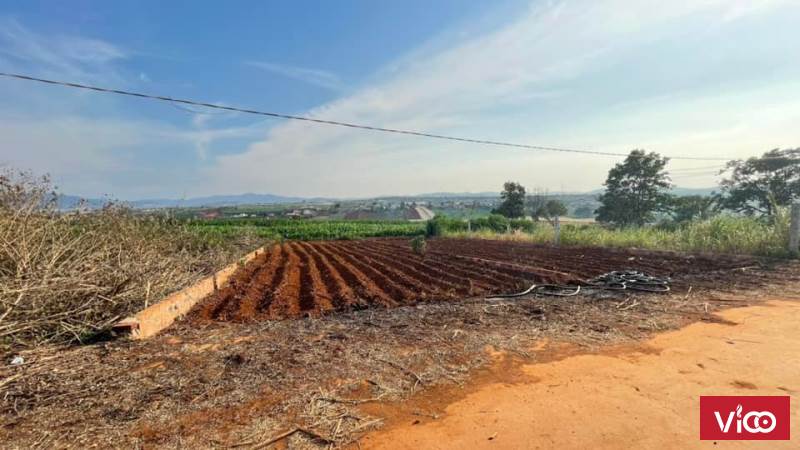 Bán đất đầu tư tại xã Đạ Ròn huyện Đơn Dương Lâm Đồng giá 780 triệu