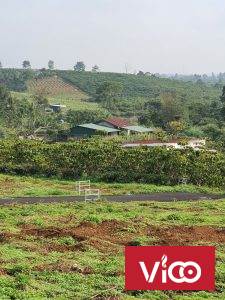 Cần bán đất vị trí đẹp tại Lâm Đồng