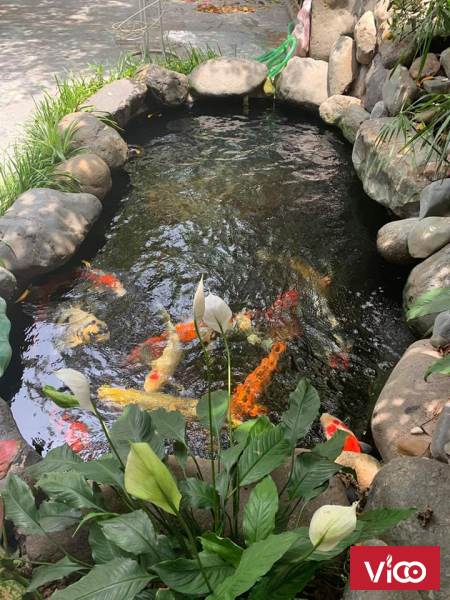 Bán nhà liền kề Dự án PHC Complex 158 Nguyễn Sơn, dt 75m2 6 tầng giá hơn 20 tỷ