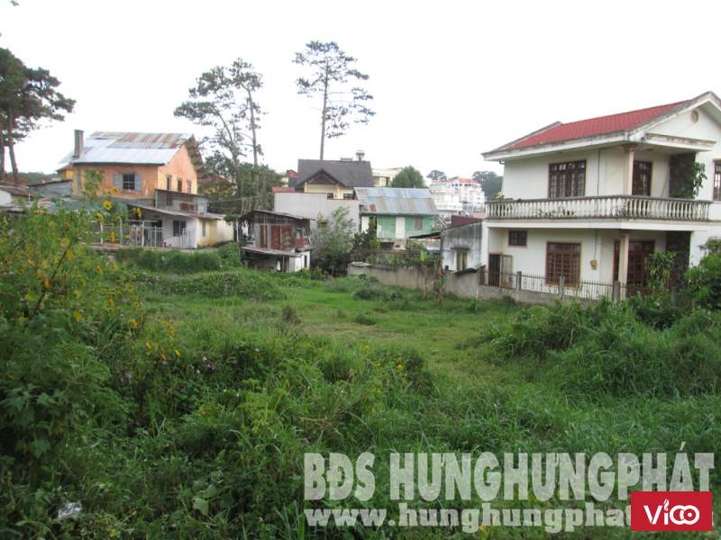 Đất biệt thự tọa lạc tại cung đường đẹp nhất nhì Đà Lạt, đường Đống Đa, p3