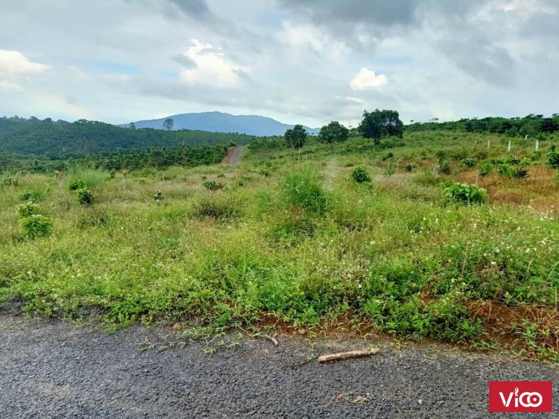 bán đất đồi cao view đẹp nhức nhối không đâu có