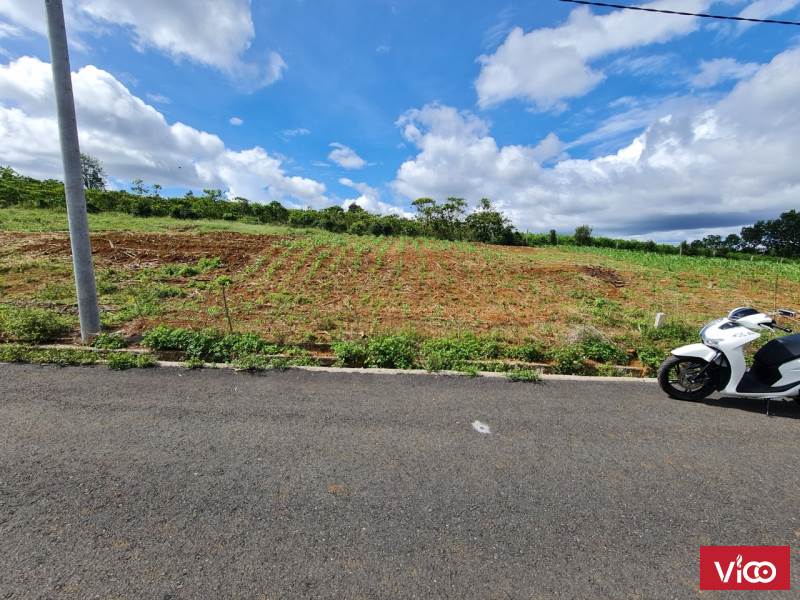 CẦN RA NHANH LÔ ĐẤT ĐẸP BẢO LỘC LÂM ĐỒNG