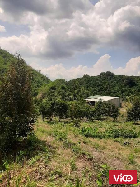 CẦN BÁN NHANH LÔ ĐẤT ĐẠ RSAL ĐAM RÔNG LÂM ĐỒNG