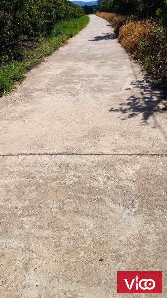 CẦN BÁN NHANH LÔ ĐẤT ĐOÀN THỊ ĐIỂM LỘC THANH TP BẢO LỘC LÂM ĐỒNG