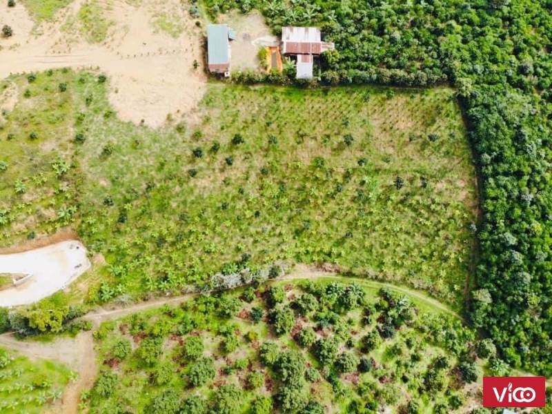 ️️ chính chủ gửi bán 5 sào vườn cây ăn trái có 80m mặt tiền đường