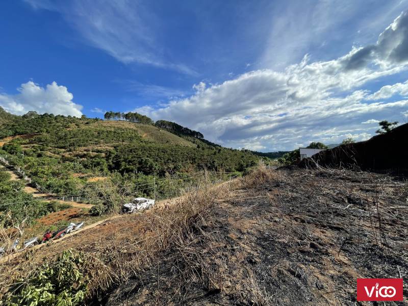 Cần bán gấp 7 lô nền F0 ở TT Nam Ban cách TP.Đà Lạt ( 20km )