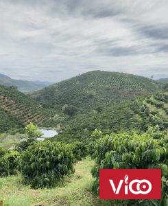 Cần Bán Đất Mặt tiền đường vị trí đẹp tại vùng ven Đà Lạt