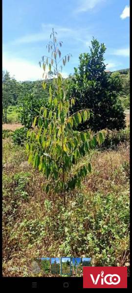 chủ gửi bán lô đất view đẹp ngay đường chính giá có một không hai