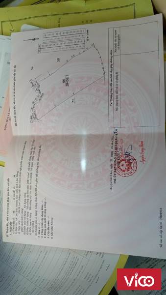 Cần bán gấp 2,9ha đất vườn tại xã Lộc Bảo Bảo Lâm giá đầu tư